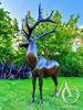 Stag metal sculpture