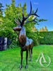 Stag metal sculpture