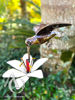 Hummingbird Stem Garden Art