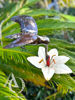 Hummingbird Stem Garden Art