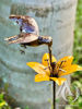 Hummingbird Stem Garden Art